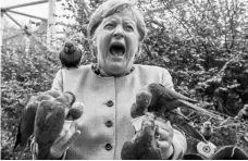  ?? TWITTER ?? German Chancellor Angela Merkel’s shots of feeding a group of rainbow lorikeets — a species of parrot native to Australia — at a bird park have gone viral