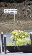  ??  ?? The road on the outskirts of Enniskerry where the woman was abducted