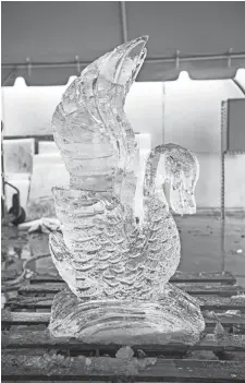  ?? PHOTOS BY ARIEL COBBERT/THE COMMERCIAL APPEAL ?? The ice sculpture of a swan sits under a tent at Southwest Tennessee Community College on Feb. 18.