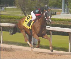  ?? The Sentinel-Record/Richard Rasmussen ?? THREE-PEAT: Jockey Joe Talamo coasts across the wire aboard Whitmore to win the Count Fleet Sprint Handicap Saturday at Oaklawn Racing Casino Resort.