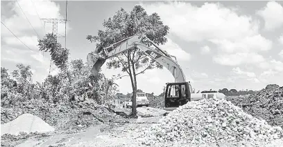  ??  ?? En la ranchería La Manga, actualment­e están realizando labor de despalme, y limpieza de vegetación.