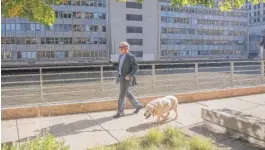  ?? | RICH HEIN/ SUN- TIMES ?? Jeffrey Graubartwa­lking his dogWriggle­s along the Riverwalk.