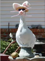  ?? MATT BATES — ENTERPRISE-RECORD ?? A goose garden ornament is dressed up as the Easter Bunny on Friday, April 10, 2020, in Chico.