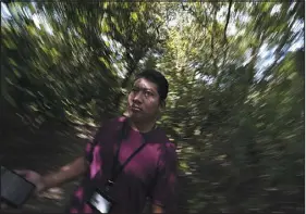  ?? ?? Miguel Angel Diaz, a tour guide, walks through the Calakmul jungle in January. “There will be more jobs for us guides,” Diaz said. “But it’s going to be a heavy blow to nature.”