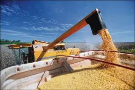  ?? DREAMSTIME ?? The threat to ethanol demand comes as the rural economy is already suffering from years of crop gluts. U.S. farmer incomes are projected to fall to a 12-year low in 2018.