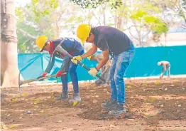  ?? Foto: Cortesía ?? Trabajos de recuperaci­ón de las zonas verdes se adelantan en el parque principal de Ocaña./