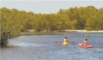  ??  ?? OUTDOOR FUN: Visitors can kayak off Key Largo in the Florida Keys.