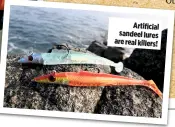  ??  ?? Artificial sandeel lures are real killers!