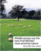  ?? RICHARD WILLIAMS ?? Wildlife groups say the new First Minister must priortise nature