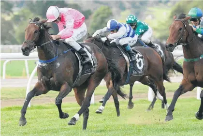  ?? Picture / Trish Dunell ?? Diademe, seen winning the NZ Thoroughbr­ed Breeders’ Stakes, helped the stable to 112 wins.