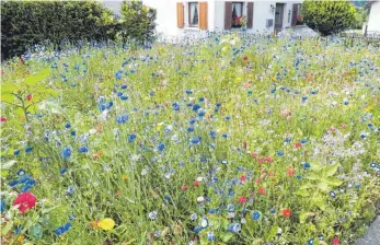  ?? FOTO: GÖTZ ?? Blumenwies­en können dazu beitragen, dass Insekten genügend Lebensraum vorfinden.