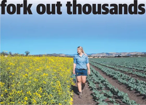  ?? Picture: Ali Kuchel ?? Blenheim farmer Raneece Lerch at the family's canola crop.