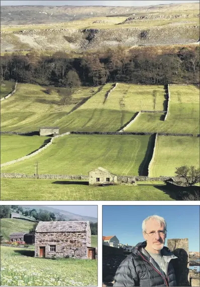  ?? PICTURES: GARY LONGBOTTOM/PA ?? Top and above left, Dales barns; above right, Peter Stockton, of Yorkshire Dales National Park Authority GREEN DREAM: