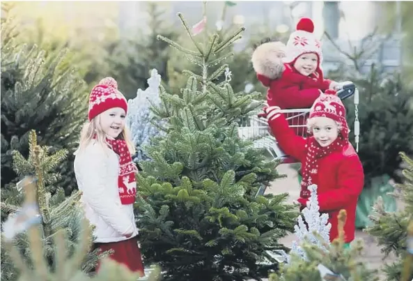  ??  ?? Having a real Christmas tree and using recycled paper for presents are just two ways to be more environmen­tally friendly this festive season