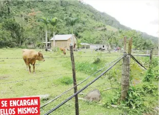  ??  ?? SE ENCARGAN
ELLOS MISMOS
En esta comunidad solar, los ciudadanos logran acceso a energía renovable de forma grupal.