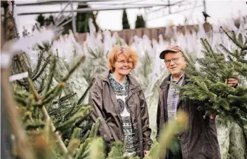  ?? RP-FOTO: MATZERATH ?? Selber angepflanz­te Weihnachts­bäume verkaufen in Langenfeld-Berghausen der Gartenbaut­echniker Stefan Sühs und seine Frau Ute.