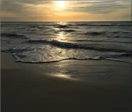  ?? PHOTOS BY KATHY RENWALD, SPECIAL TO THE HAMILTON SPECTATOR ?? Botanical gardens and the beach are spots for quiet respite in busy Southwest Florida.