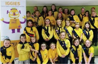  ??  ?? Members of Monasterbo­ice Brownies and Clogherhea­d Brownies who showcased their Lego sustainabl­e water solutions at an ‘Irish Girl Guides Innovative­ly Engaging with STEM’ expo at Dublin City University