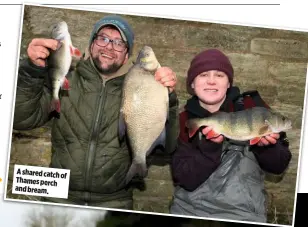  ??  ?? A shared catch of Thames perch and bream.