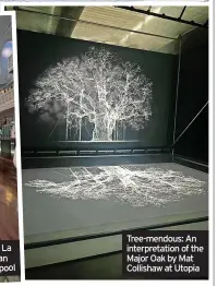 ?? ?? Tree-mendous: An interpreta­tion of the Major Oak by Mat Collishaw at Utopia