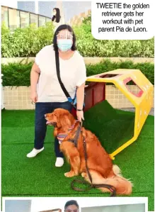  ??  ?? TWEETIE the golden retriever gets her workout with pet parent Pia de Leon.