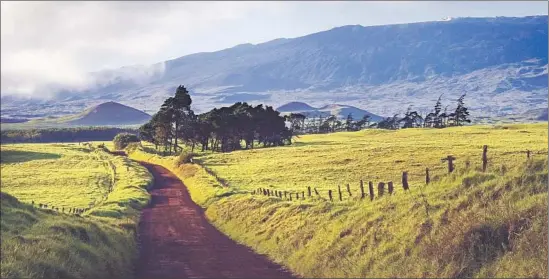  ?? Greg Vaughn
Getty Images/Perspectiv­es ?? THE KOHALA MOUNTAINS rise in the distance near Waimea, Hawaii. Horse and cattle ranches, including Kahua Ranch, dot the rolling landscape here.