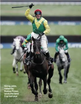  ??  ?? Sizing John, ridden by Robbie Power, lands the Gold Cup last year