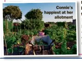  ??  ?? Connie’s happiest at her allotment