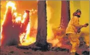  ??  ?? A firefighte­r tries to halt the march of the Dixie wildfire in Taylorsvil­le, California, US.