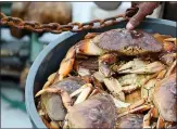  ?? RAY CHAVEZ STAFF ARCHIVES ?? Dungeness crab are weighed during the November 2018 opening day of commercial crab season at Pillar Point Harbor in Half Moon Bay.