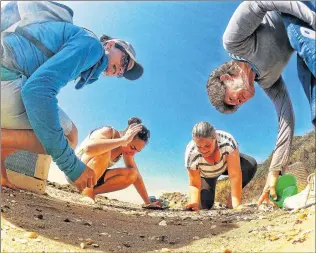  ?? Picture: CRAIG GIESE ?? URGENT CALL: Community members pick up nurdles near Glen Eden