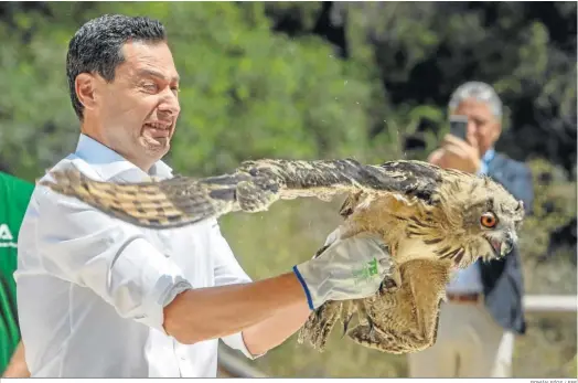  ?? ROMÁN RÍOS / EFE ?? Juanma Moreno suelta un búho real en un pinar de Chiclana.