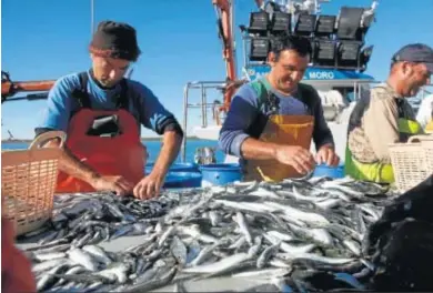  ?? JORDI LANDERO ?? Captura de sardinas en la localidad de Isla Cristina.