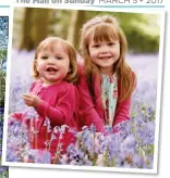  ??  ?? CARPET OF COLOUR: Bluebells at Hatchlands Park, left. Above: Youngsters enjoying a nature day