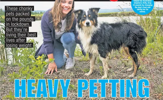  ??  ?? After
Julia Bozzone helped her Australian shepherd, Holly, drop 10 pounds by changing the dog’s food and taking her for swims.