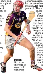  ??  ?? FORCE: Morris has improved all aspects of his hurling