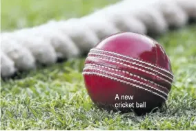  ?? ?? A new cricket ball