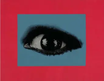  ??  ?? Christophe­r Makos (Lowell, Usa, 1948), Old Blue Eyes #1 (1990, olio su tela con collage), courtesy dell’artista