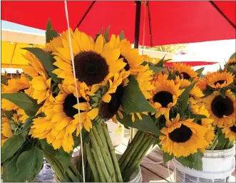  ?? COURTESY OF JESSICA DAMIANO ?? A bouquet of cut sunflowers.