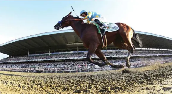  ?? CHANG W. LEE/NYT ?? Jockey Victor Espinoza guides bay colt American Pharoah to a strong victory in the Belmont Stakes on Saturday. The win clinched the Triple Crown, ending a 37-year drought in the process.