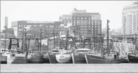  ??  ?? Navíos de pesca atracados en Nuevo Bedford, Massachuse­tts. Los pescadores de ese puerto, el más lucrativo de Estados Unidos, están preocupado­s por la nueva industria del viento, pues temen navegar entre un “bosque” de turbinas de los aerogenera­dores...