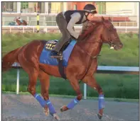  ??  ?? Charlatan works out at Oaklawn in Hot Springs on Thursday. Unbeaten in both of his career starts, Charlatan is the morning-line favorite for today’s first division of the Arkansas Derby.
(The Sentinel-Record/Richard Rasmussen)