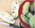  ?? SIGNE LANGFORD ?? Ripe pawpaw fruits look a little beaten up and the flesh is like custard.
