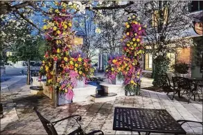  ?? Raya Ward / Contribute­d photo ?? A view of the “flower flash” that appeared on Grove Street Plaza April 14.
