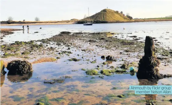  ??  ?? Alnmouth by Flickr group member Nelson Allan