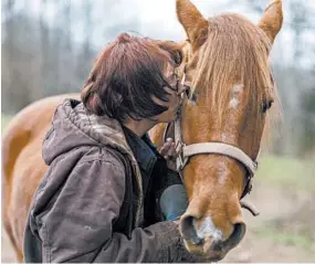  ?? CRAIG HUDSON/AP PHOTOS ?? Kelly Povroznik tends to her horse Rambling Jack outside of Clarksburg, W.Va. Povroznik teaches an online college course.