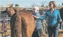  ?? ANGELA PIAZZA/THE REPUBLIC ?? Wildhorse Ranch Rescue volunteers Valerie Caliendo (left) and Lisa Osthelder groom rescue mule Tommy.