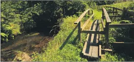  ?? (Pic: Jana Mannion) ?? The Keale River Walk between Glenroe and Ballyorgan features on the popular Molanna Loop Walk, in the heart of Ballyhoura Country.