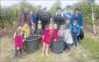  ??  ?? Bernadette, Marie Claude, Christian, Pierre, Klébert, Robert et Gérard ont dû aider les enfants un par un ... à les couper (le plus difficile), à les placer dans leur petit seau ....