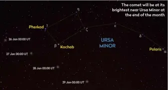  ?? ?? The comet will be at its brightest near Ursa Minor at the end of the month